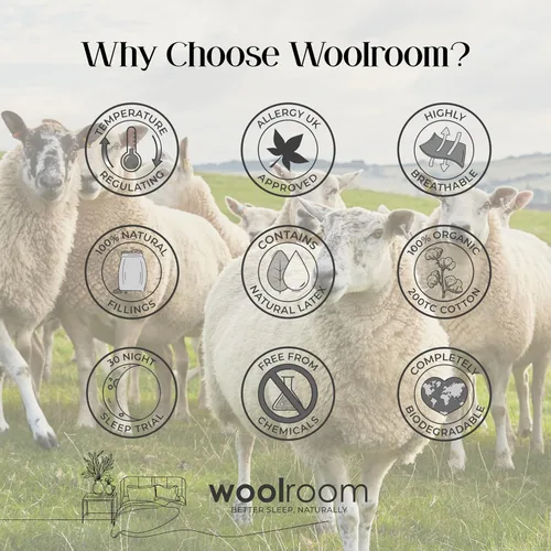 Vista 6 de WOOLROOM Almohada de cama de látex natural, tamaño estándar, almohada de látex que alivia la presión, se adapta a tu cabeza, envuelta en rastreable