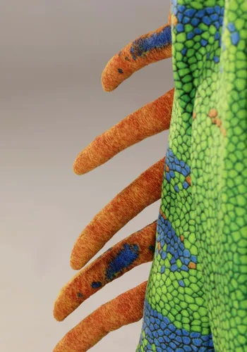 Vista 6 de Disfraz de iguana para niños con guantes adjuntos, fundas para zapatos y tocado