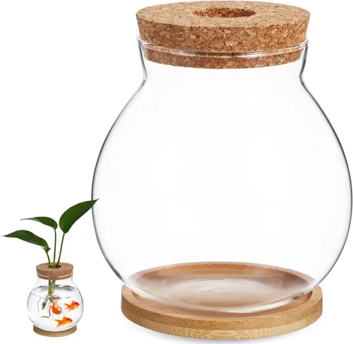 Balacoo Soporte para plantas de agua Pescado Planta Terrario Propagación Terrario Peces Acuario Terrario Contenedor de planta de aire Soporte de
