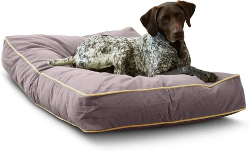 Vista 33 de South Pine Porch Buddy - Cama rectangular reversible de microfibra para perro con funda extraíble, lavable a máquina, cacao, extra pequeña