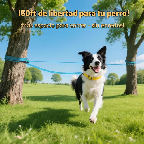 Vista 6 de Correa de perro de 25 pies, correa larga para perros al aire libre, cable de amarre de perro, correa para acampar, atadura para el patio, línea Rojo