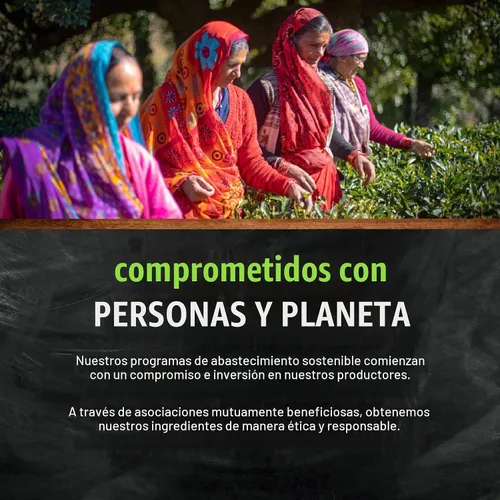 Vista 8 de Frontier Co-op Bayas orgánicas de espino, enteras, para té de bayas de espino, Kosher 16 onzas (paquete de 1)