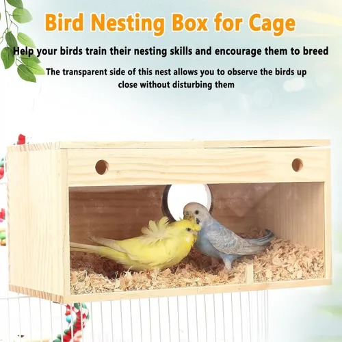 Vista 2 de kathson Caja nido de periquitos, caja transparente para cría de loros, casa nido, jaula de pájaros para cacatúas, periquitos, agapornitos, conure