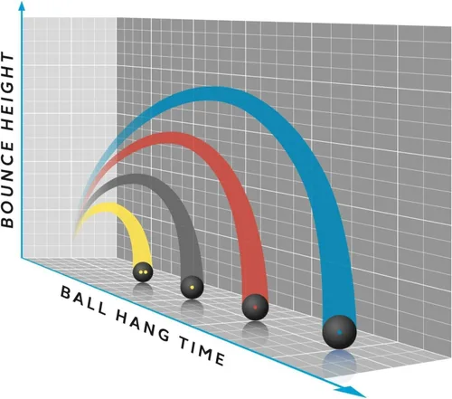 Vista 4 de Dunlop Sports Competition Squash Ball, Single Yellow Dot