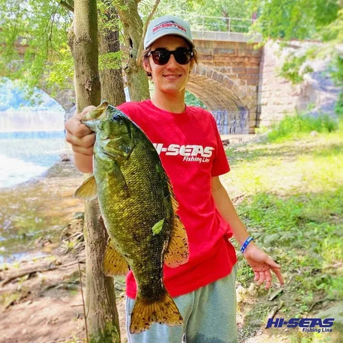 Vista 7 de Línea de pesca Hi-Seas 100% fluorocarbono transparente - Línea líder de pesca fuerte y resistente, se hunde más rápido que la línea de pesca