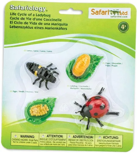 Vista 3 de Safari Ltd Safariología, el ciclo de vida de una abeja
