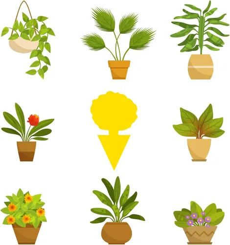 Vista 6 de Paquete de 48 trampas para moscas de frutas para plantas de interior, hongos, mosquitos y mosquitos, para exteriores, atrapamoscas pegajosas