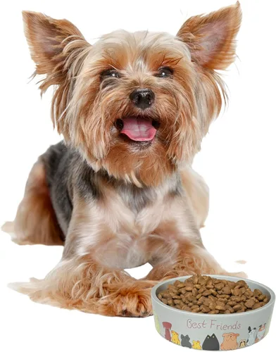 SPOT Best Friends - Plato de comida para mascotas, cuenco de cerámica para alimentos o agua para mascotas, ideal para perros pequeños, apto para