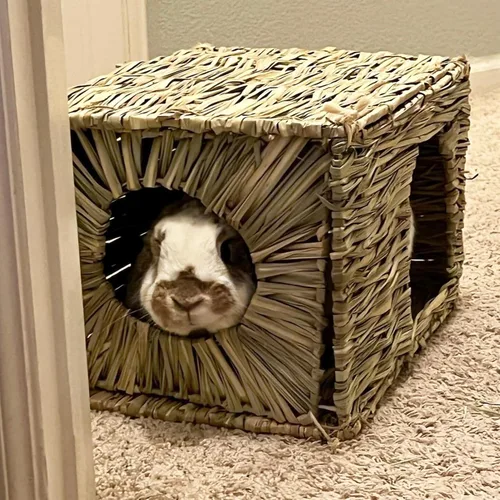 Vista 5 de LWINGFLYER Casa de hierba de conejo, casa de hierba para dormir, juguetes masticables para animales pequeños, conejo, hámster, chinchillas, guinea