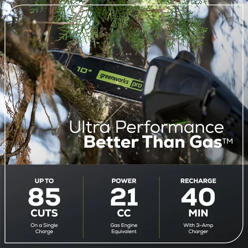 Vista 3 de Greenworks 60V sierra de poste sin cable sin escobillas de 10 pulgadas, alcance de 14.5 pies, batería de 2.0Ah y cargador