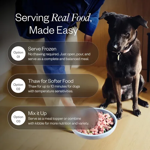 Vista 5 de Maev Alimento para perros de carne de res de grado humano, fórmula calmante y ansiosa, ingrediente entero, sin gluten, alto en proteínas