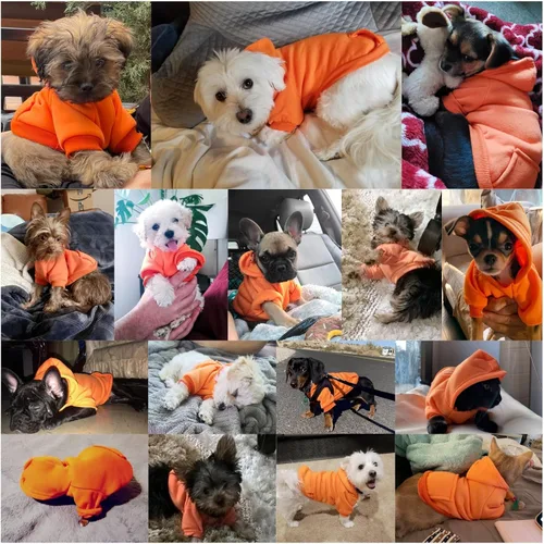 Vista 4 de Jecikelon Sudadera con Capucha de Invierno para Perro con Bolsillos Ropa Cálida para Perros Pequeños Abrigo Chihuahua Ropa para Cachorro Gato Naranja