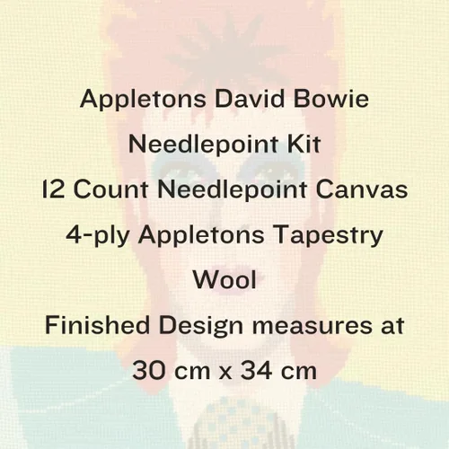 Vista 2 de HM NABAVIAN Appletons - Kit de punto de aguja de lana - Rango de retratos - David Bowie diseñado por Emily Peacock