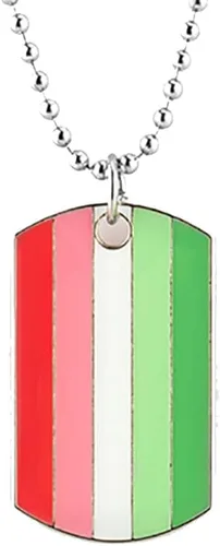 COLDDOX Collar con colgante de etiquetas de perro del orgullo progreso, collar LGBT, regalo de orgullo gay, collar de orgullo arco iris, joyería