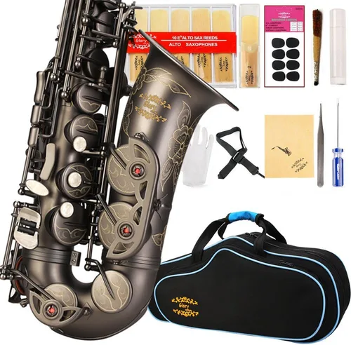 Vista 7 de Kit de cuidado para saxofón con 11 reeds, 8 para saxofón alto cojines, funda, Glory E Flat