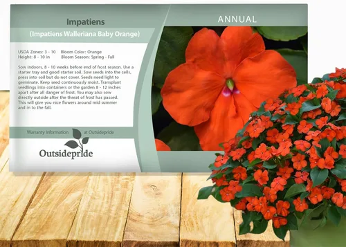 Outsidepride 1000 Semillas Impatiens Baby Orange Shade Garden Flower Seeds para plantar