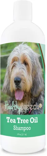 Vista 137 de Healthy Breeds Chow Chow Champú de aceite de árbol de té, formulado para pieles secas e irritadas, reduce la caspa, aroma de gaulteria, 8 onzas