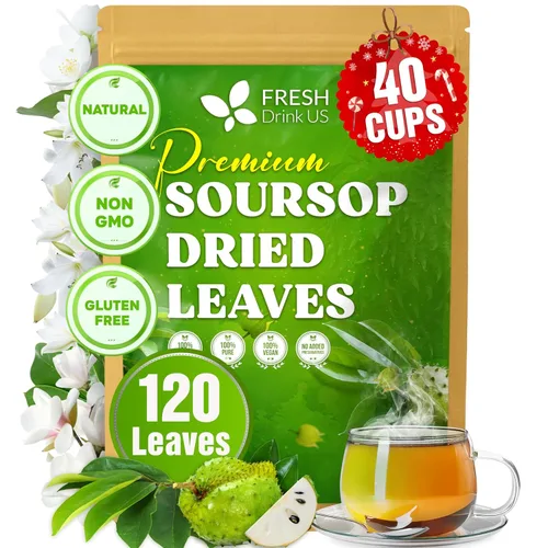 Vista 46 de FreshDrinkUS, 55 bolsas de té de raíz de astrágalo premium, 100% natural y puro de té de hierbas de raíz de astrágalo. Fabricado con bolsas de té