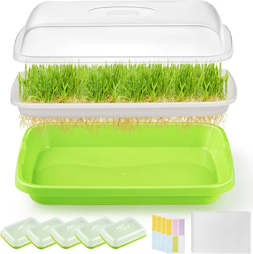 Paquete de 6 bandejas de germinación de semillas verdes con tapa, bandeja de germinación de cultivo sin tierra, bandeja de vivero con papel de
