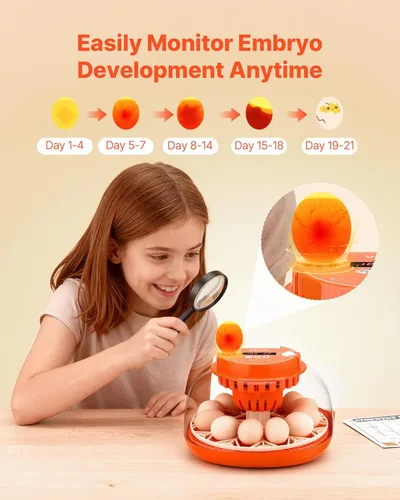 Vista 5 de VEVOR Incubadora de 12 huevos, girador automático de huevos con vela LED, control de temperatura y humedad, ventana transparente de visión de 360°