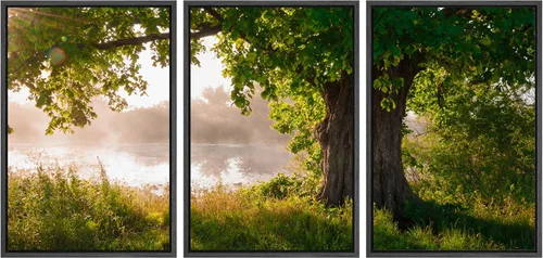 Vista 69 de Lienzo de 3 piezas, arte contemporáneo, decoración de pared moderna, cascada y flores