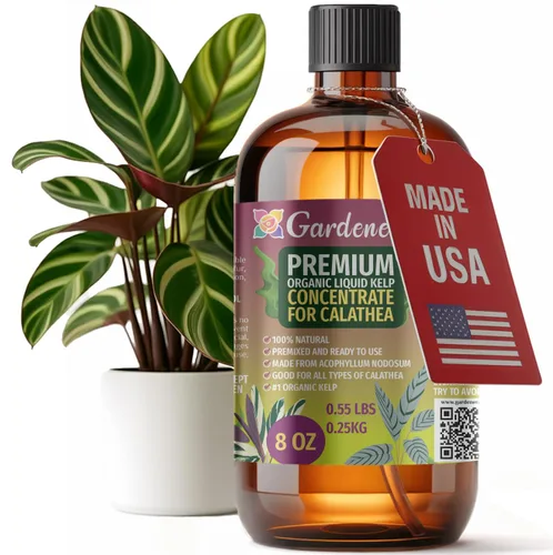 Vista 99 de GARDENERA Superalimento orgánico prémium de algas marinas y algas marinas para plantas AGLAONEMA, 8 onzas, concentrado de fertilizante líquido