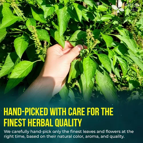 Vista 25 de FreshDrinkUS, 135 bolsas de té de jengibre y cúrcuma premium, ingredientes 100% naturales, mezcla hecha a mano de té de hierbas de cúrcuma