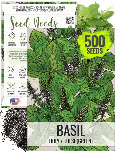 Vista 22 de Seed Needs Sweet Genovese - Semillas de albahaca para plantar, semillas de hierbas culinarias sin OMG y sin tratar para plantar un jardín de cocina