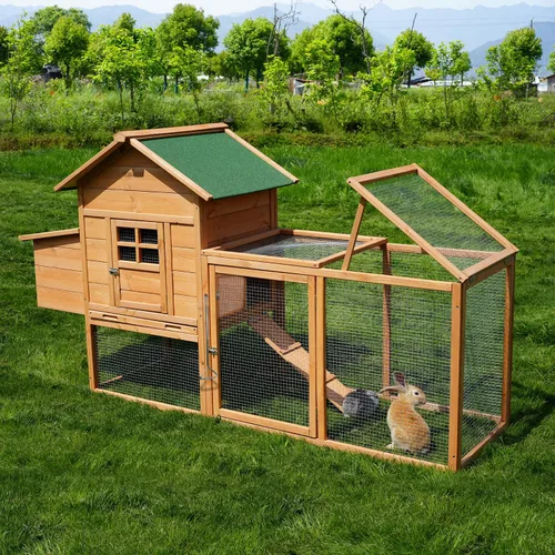 Morngardo Gallinero para 2-4 pollos de madera al aire libre jaula de aves de corral conejera con rampa, caja anidable, bandeja, barra de gallo, 4