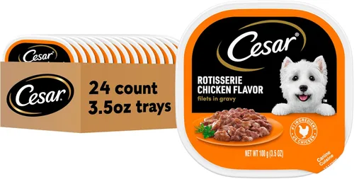 Cesar Filets in Gravy, alimento húmedo para perros adultos, sabor a pollo asado, comida húmeda para perros, bandejas de 3.5 onzas, 24 unidades