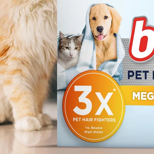 Vista 4 de Hojas para secadora de pelo de mascotas y pelusa Bounce Mega con 3X contra pelo de mascotas, sin fragancia, 130 piezas