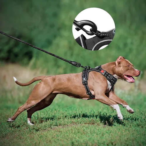 Vista 5 de PoyPet Arnés para perro y correa, arnés a prueba de escape, chaleco sin tirones, con correa de 5 pies, arnés acolchado suave reflectante ajustable