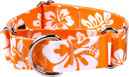 Vista 19 de Country Brook Petz - Collar para perro Martingala Anchors Away - Colección Summer Breeze con diseños soleados (1 1/2 pulgadas, mediano)