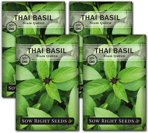 Vista 9 de Sow Right Seeds - Semilla de albahaca tailandesa de hoja grande dulce para plantar - Paquete de reliquia sin OMG con instrucciones para plantar un