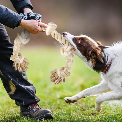 Vista 8 de Fida Juguetes de cuerda para perros para masticadores agresivos, juguetes de remolcador para perros grandes y medianos
