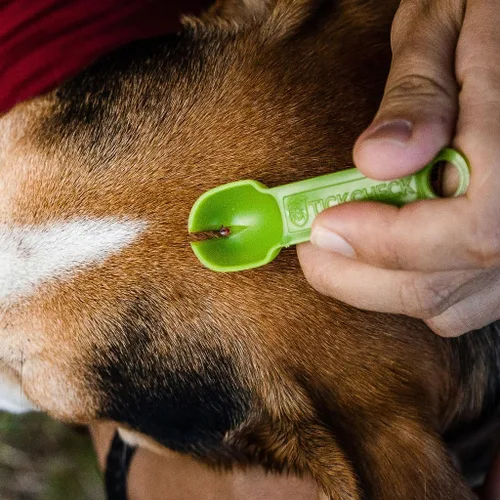 Vista 4 de Llavero de cuchara removedor de garrapatas, herramienta ligera para quitar garrapatas con tarjeta de identificación de garrapatas y mosquetón