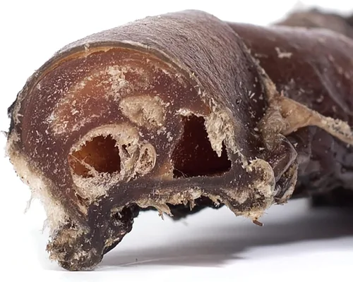 Vista 5 de Downtown Pet Supply Palitos masticables para perros sin cuero crudo de 1 libra, de 4 a 5 pulgadas, de larga duración y sin astillas, de un solo