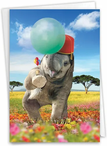 Vista 13 de The Best Card Company - Tarjetas de cumpleaños - Tarjetas de diario - Grupo C - TBCC, Uno Mundo C6840ABDG - Tarjeta de cumpleaños