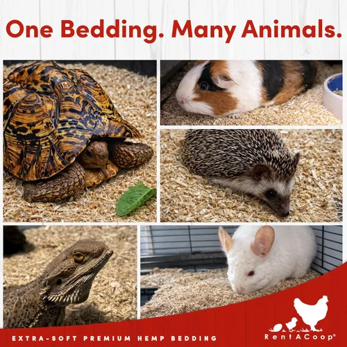 Vista 7 de RentACoop Cama de Cáñamo Premium Extra-Suave (300L) para Gallineros, Cajas de Anidación, Conejos, Cobayas, Hámsters, Reptiles, Caballos y Más