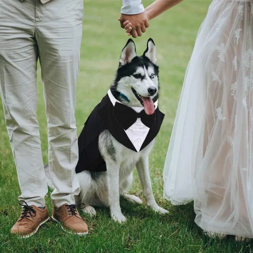 Vista 6 de IDOMIK Esmoquin para perro pequeño, mediano y grande, traje de boda formal para perro desmontable con chaleco de esmoquin, corbatín, collar