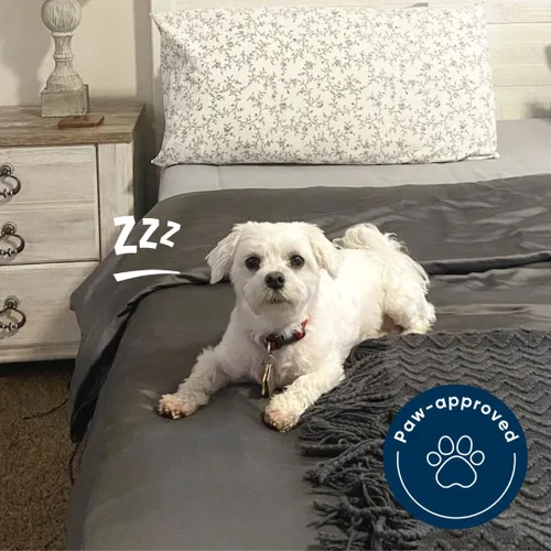 Vista 6 de Vesta Edredón de Seda Lavable y Ligero, Manta Refrescante para Personas que duermen con Calor, 100% Seda de Morera de Fibra Larga, Control de Zen