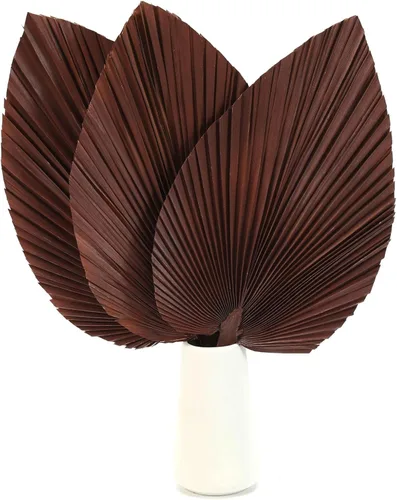 Hojas de palma secas grandes, 17 abanicos de plantas secas para decoración bohemia de oficina en el hogar, decoración de boda tropical, decoración