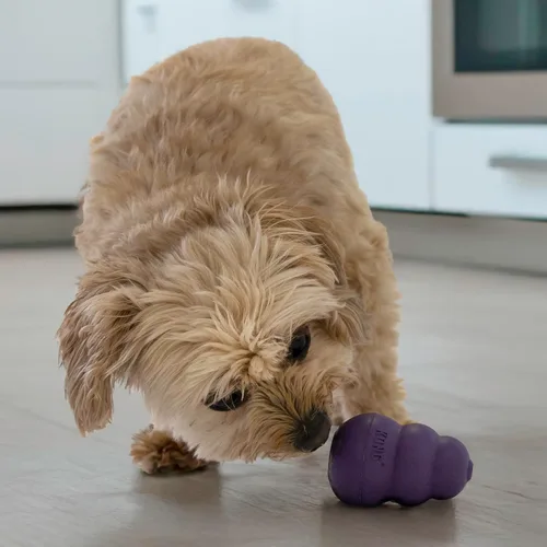 Vista 2 de KONG Senior - Juguete para perros con goma suave y natural - Juguete duradero para perros mayores - Utiliza golosinas con juguete masticable