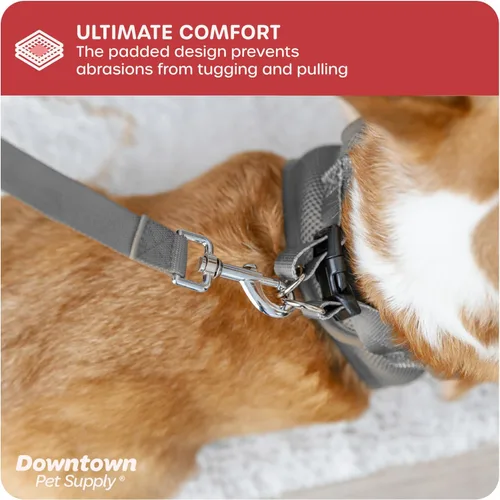 Vista 93 de Downtown Pet Supply Arnés de Paso para Perros Pequeños Sin Tirones, Mediano, Amarillo Atómico - Arnés Ajustable con Tela de Malla Acolchada y Ribete