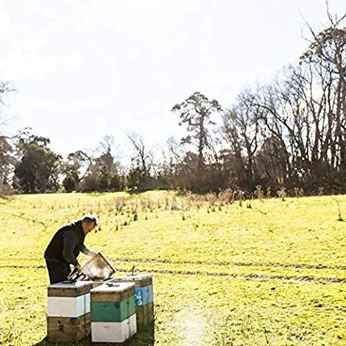 Vista 4 de Genuina miel de cyrilla de Tasmania de The Tasmanian Honey Company