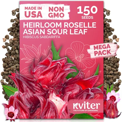 Vista 49 de KVITER 250 Marketmore - 76 semillas de pepino (Cucumis Sativus) – Rebanar semillas de pepino, sabor dulce, paquetes de semillas sin OMG – Semillas