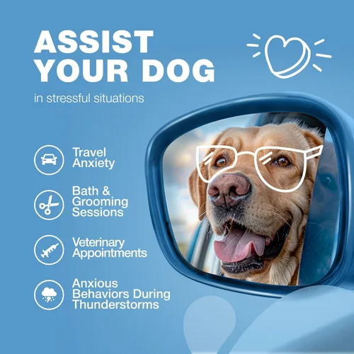 Vista 5 de Masticables calmantes para el alivio de la ansiedad de los perros, masticables suaves para perros, melatonina, extracto de manzanilla, raíz