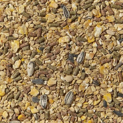 Vista 3 de Kaytee Alimento supremo para hámster y jerbo, 2 libras