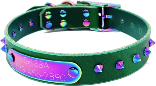 Vista 20 de Collar de perro de cuero con brida hecha a mano, grabado arco iris de acero inoxidable (negro)