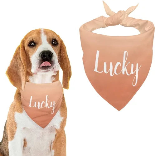 Vista 18 de Bandana personalizada para perro con nombre de poliéster, bandana personalizada para perro, triángulo, bufanda personalizada para mascotas